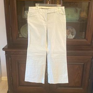 Womenswear Express dress pants size 10 light blue with brown stripe